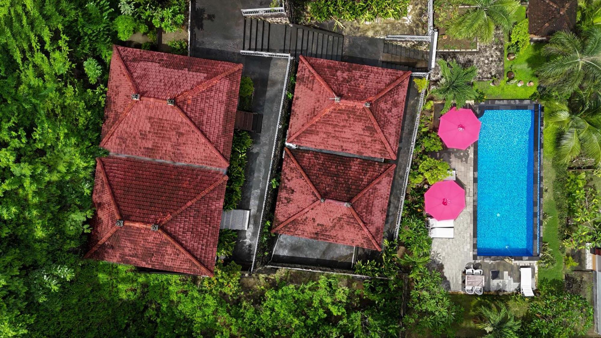 Coconut Hill Cottage Batununggul Zewnętrze zdjęcie